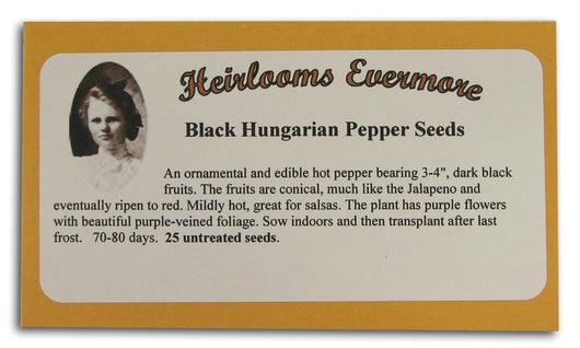 Heirlooms Evermore Black Hungarian Pepper Seeds - 25 seeds