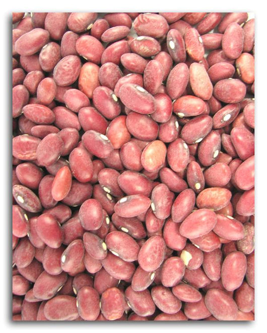 Bulk Red Beans (small) - 25 lbs.