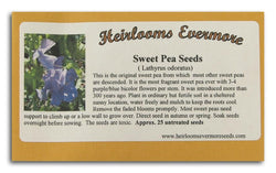 Heirlooms Evermore Sweet Pea Seeds - 25 seeds