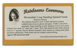 Heirlooms Evermore Bloomsdale Long Standing Spinach Seeds - 250 seeds